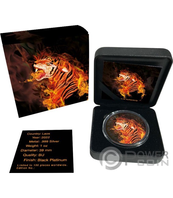 Panthera Tigris Burning Tiger Oz Silber M Nze Kip Laos