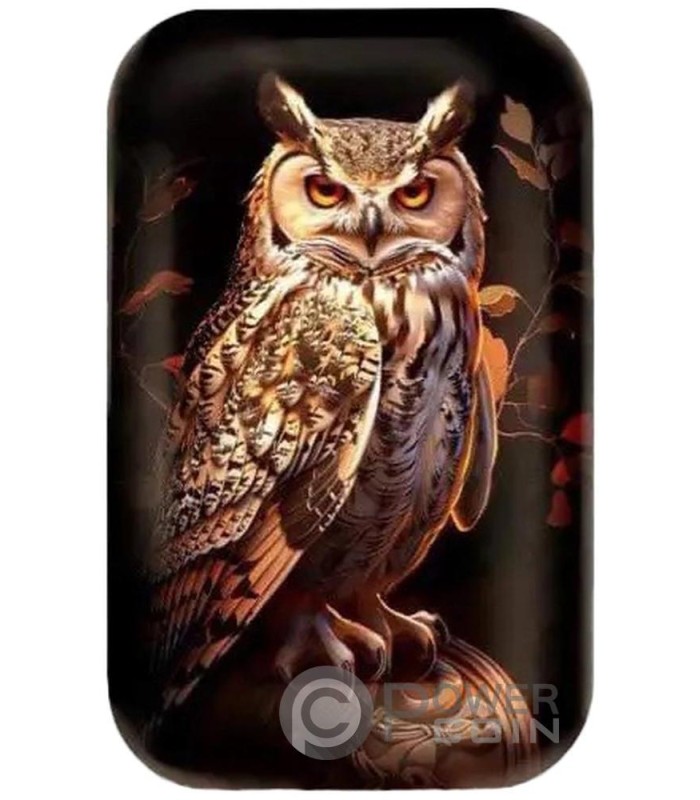 ATHENA OWL 2 Oz Lingotto Argento 2025