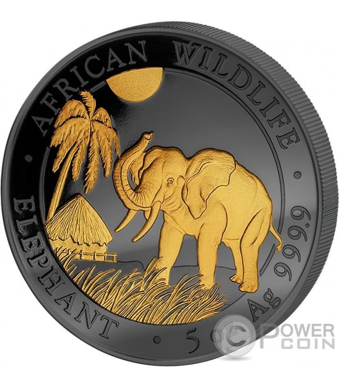 Elephant Elefant Golden Enigma Oz Silber M Nze Shillings Somalia