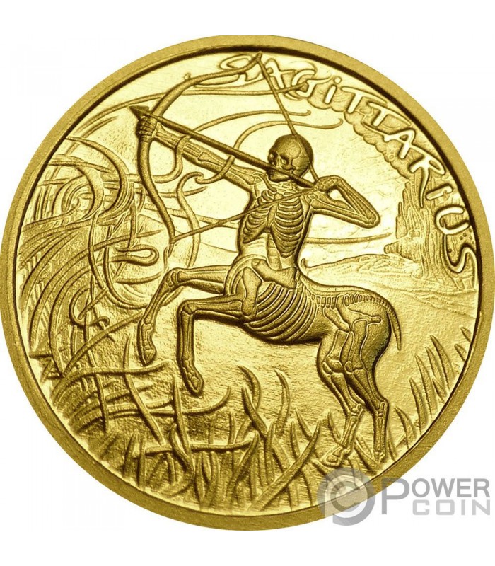 SAGITTARIUS Memento Mori Zodiac Skull Horoscope Gold Coin 2015