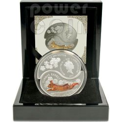 SNAKE YIN YANG Chinese Lunar Year Silver Coin Set 1$ Fiji 2013