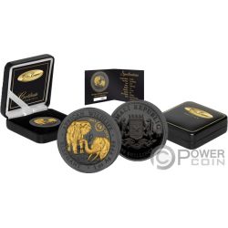 GOLDEN ENIGMA Panda Black Ruthenium 1 Oz Silver Coin 10 Yuan China