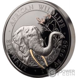 ELEPHANT Golden Enigma 5 Oz Silver Coin 500 Shillings Somalia 2017