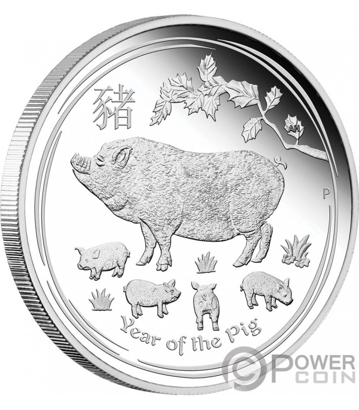 PIG Schwein Lunar Year Series 1$ Oz Münze 2019 Australia 1 Silber