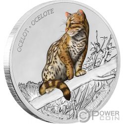 JAGUAR Wildlife 1 Oz Silver Coin 100 Cordobas Nicaragua 2018