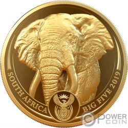 RHINO Big Five 1 Oz Gold Coin 50 Rand South Africa 2020