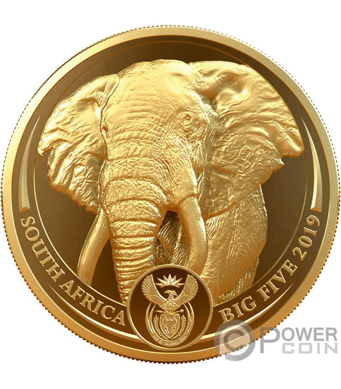 ELEPHANT Big Five 1 Oz Gold Coin 50 Rand South Africa 2019