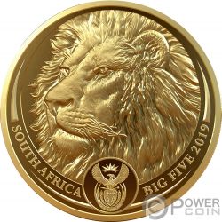 RHINO Big Five 1 Oz Gold Coin 50 Rand South Africa 2020