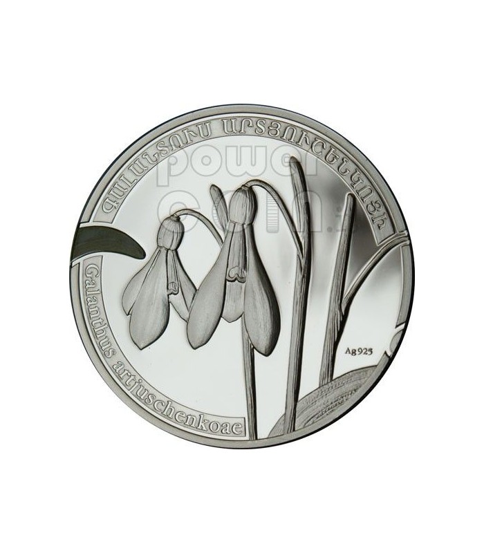 SNOWDROP Galanthus Beauty of Flowers Silver Coin 1000 Dram Armenia 2010