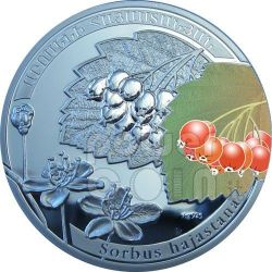 SNOWDROP Galanthus Beauty of Flowers Silver Coin 1000 Dram Armenia