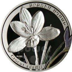 SNOWDROP Galanthus Beauty of Flowers Silver Coin 1000 Dram Armenia