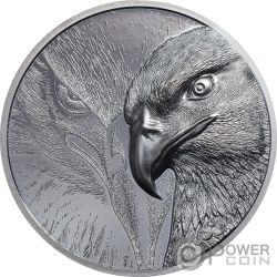 FALCON Wild Mongolia 1 Oz Silver Coin 500 Togrog Mongolia 2023