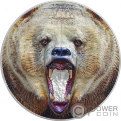 AMERICAN GRIZZLY BEAR Grizzlybär Rare Wildlife 2 Oz Silber Münze 1500 Shillings Tanzania 2020