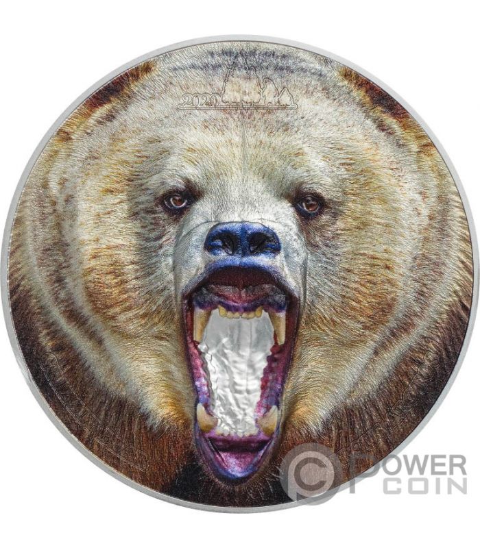 American Grizzly Bear Grizzlybar Rare Wildlife 2 Oz Silber Munze 1500 Shillings Tanzania 2020 Power Coin