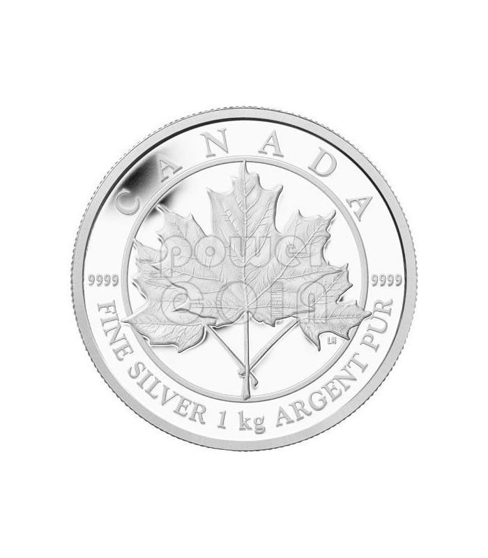 Maple Leaf Forever Kg Kilo Fine Silber Kilogram M Nze Canada