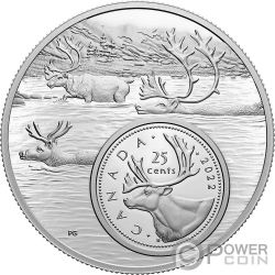 BEAVER The Bigger Picture 5 Oz Silver Coin 5 Cents Canada 2022