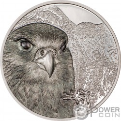 FALCON Wild Mongolia 1 Oz Silver Coin 500 Togrog Mongolia 2023