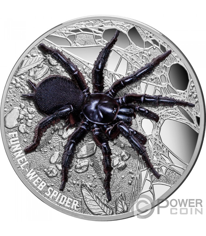 FUNNEL WEB SPIDER 5 Oz 10 2023