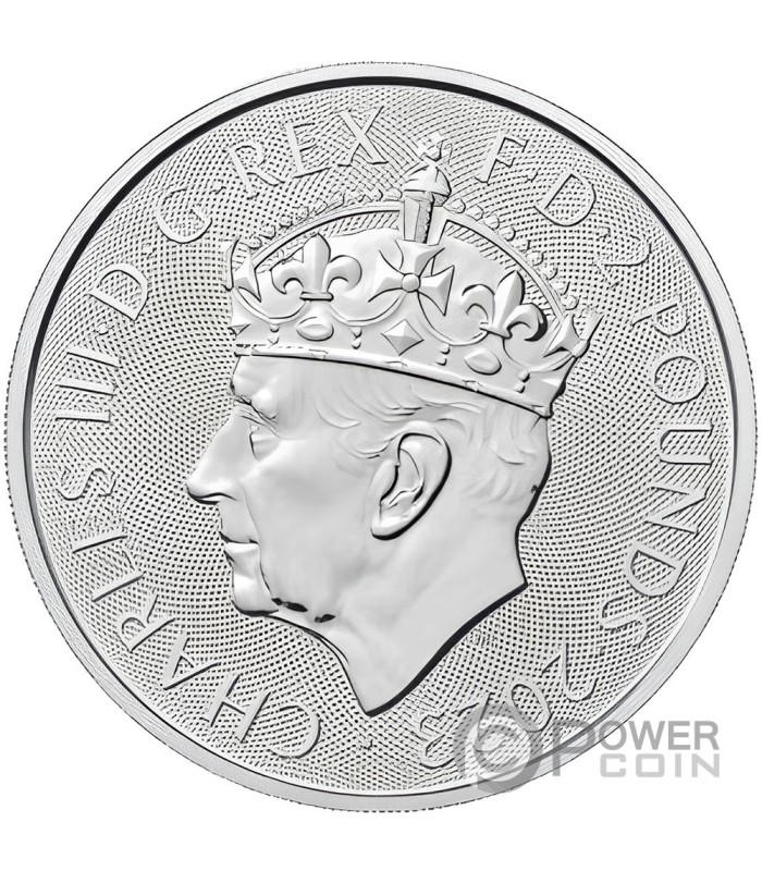 IN MEMORIAM QUEEN ELIZABETH II 1 Oz Silver Coin 2 Pound United