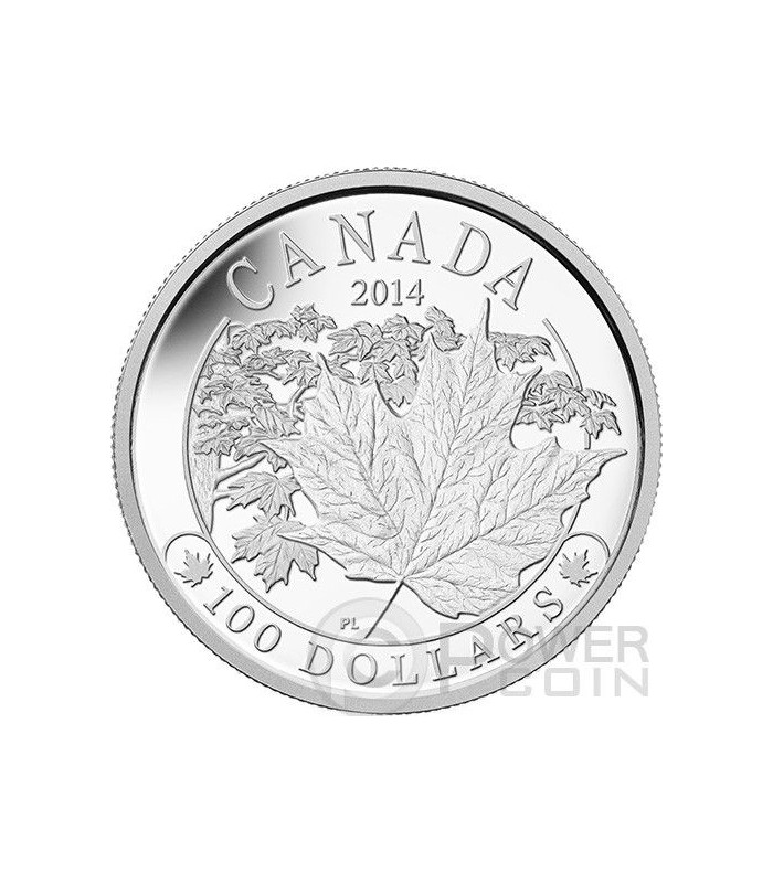 maple-leaf-majestic-10-oz-argent-proof-monnaie-100-canada-2014