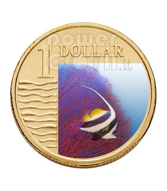 Open Ocean Coin