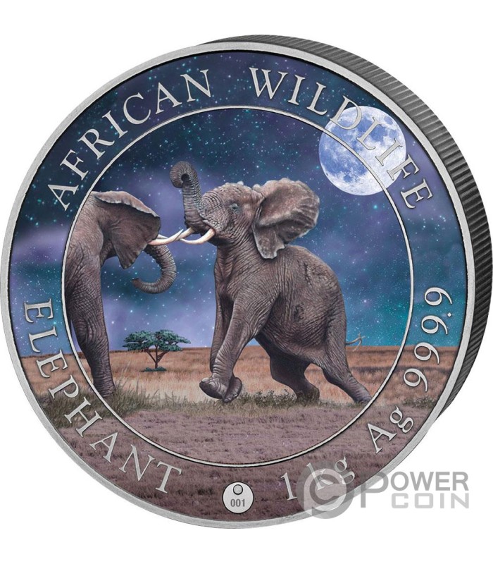 ELEPHANT Giant Moon African Wildlife 1 Kg Kilo Silver Coin 2000 Shillings  Somalia 2024