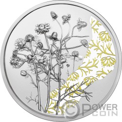 CHAMOMILE Language Of Flowers Silver Coin 10€ Euro Austria 2023