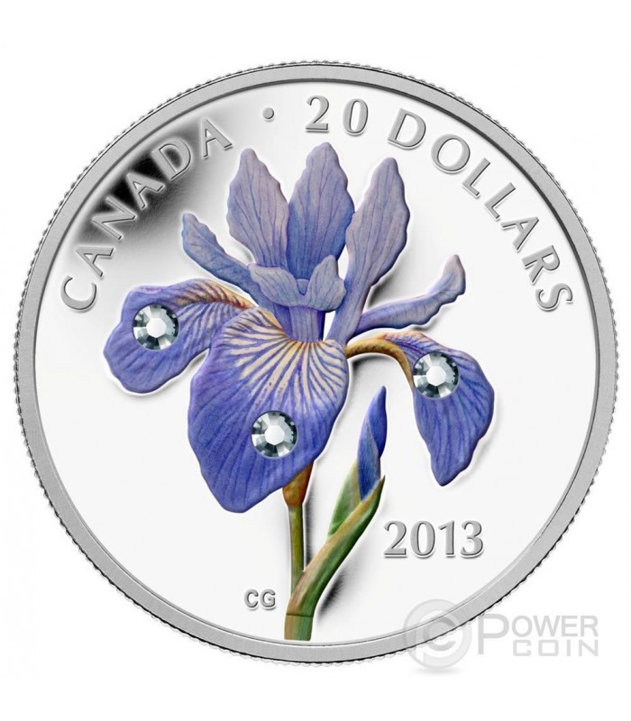 The blue flag, Quebec's floral emblem