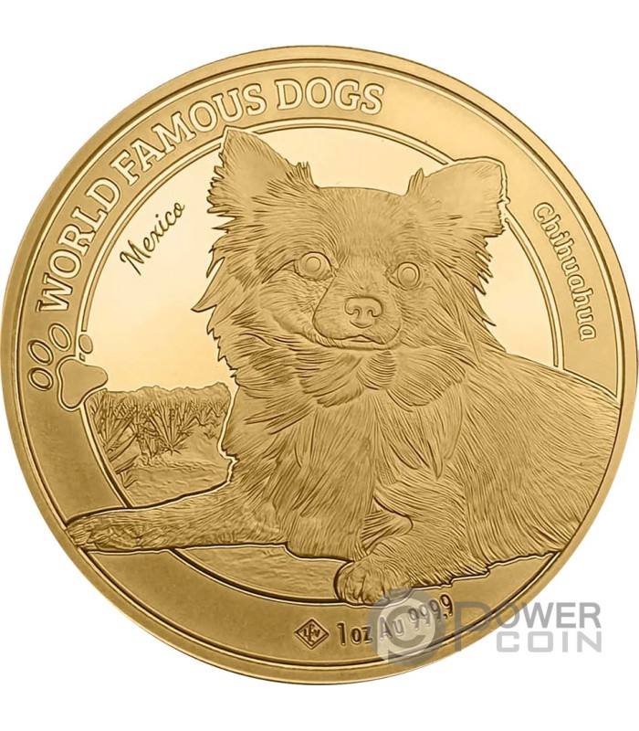 CHIHUAHUA World Famous Dogs 1 Oz Gold Coin 3000 Francs Cameroon 2023