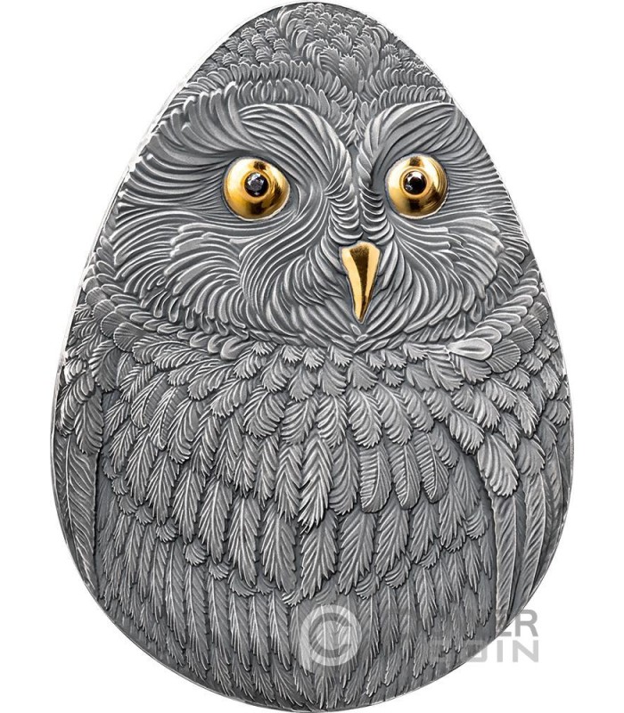 SHORT EARED OWL Marvelous Owls 1 Oz Silver Coin 2$ Niue 2024