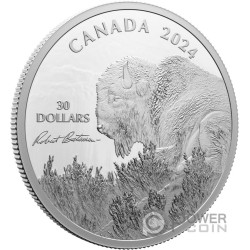 BISON Weather Watch Монета Серебро 30$ Канада 2024