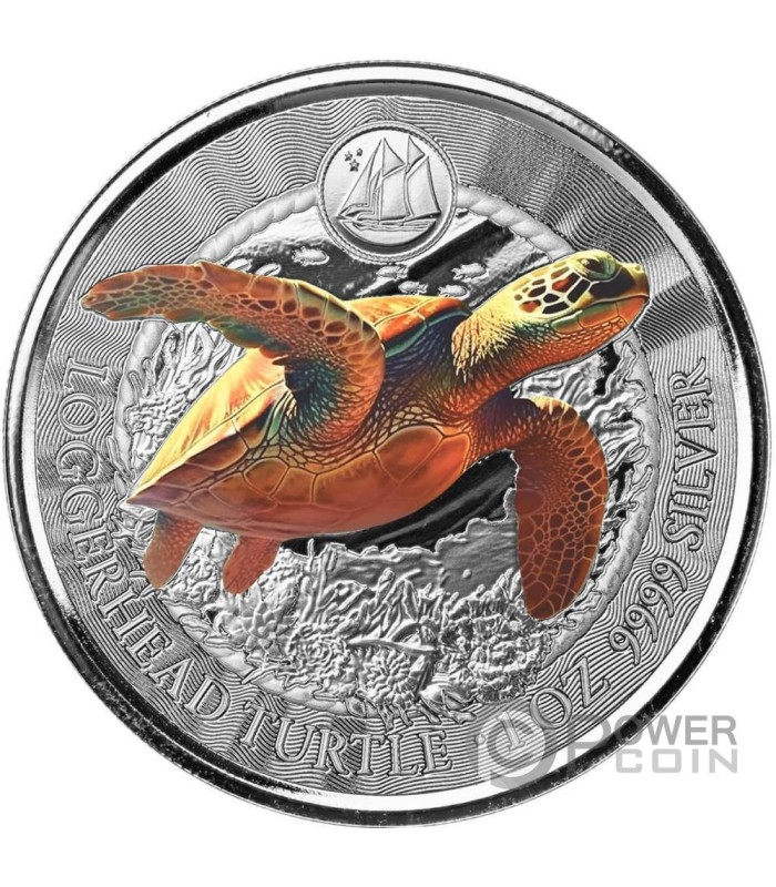 LOGGERHEAD TURTLE 1 Oz Silver Coin 1$ Cayman Islands 2023