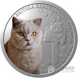BRITISH SHORTHAIR Cat Breeds 1 Oz Silver Coin 1$ Niue 2024