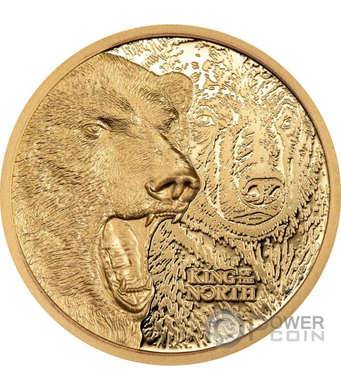 KING OF THE NORTH Polar Bear 1 4 Oz Gold Coin 25 Cook Islands 2024