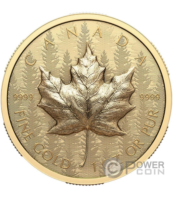 MAPLE LEAF Ultra High Relief 1 Oz Gold Coin 200 Canada 2024