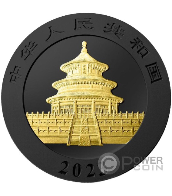 PANDA Black Platinum and Gold Moneda Plata 10 Yuan China 2023