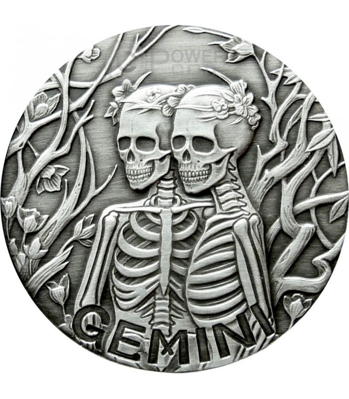 GEMINI Memento Mori Zodiac Skull Horoscope Silver Coin 2015