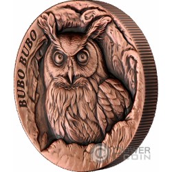 BUBO BUBO Cárabo Tree Hollow Moneda Cobre 25 Cents Samoa 2024