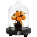 PROSPEROUS GOLDEN KUMQUAT Figurine Feuille Or Singapore 2025