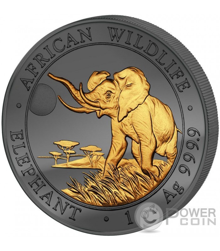 2015 Coin, Somali Coin, 100 sold Shillings Coin, Elephant Africa Wildlife, Bullion