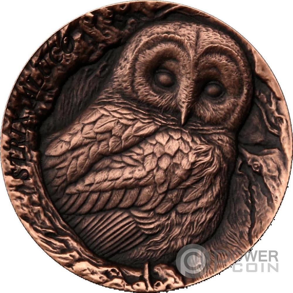 STRIX ALUCO Tawny Owl Tree Hollow Copper Coin 25 Cents Samoa 2023